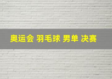 奥运会 羽毛球 男单 决赛